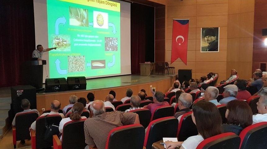 Mersin’de ’akdeniz Meyve Sineği Ve Sirke Sineği İle Mücadele’ Konferansı
