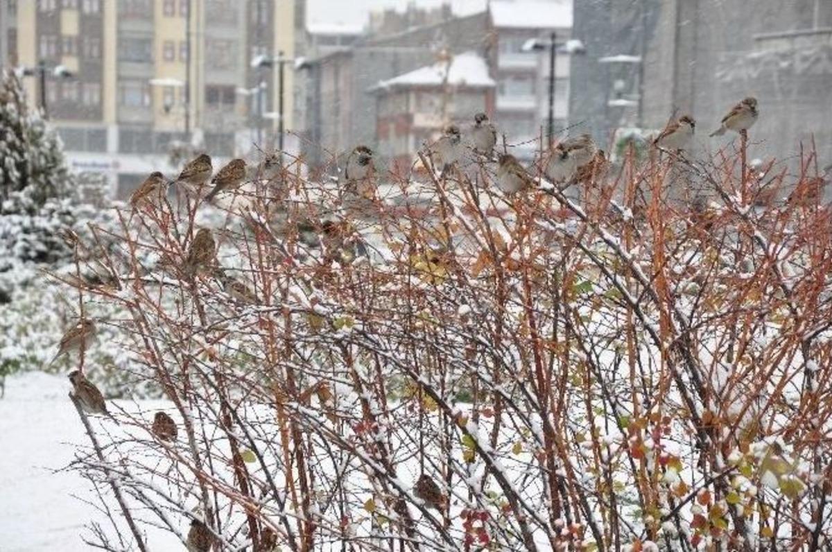 Sivas&rsquo;ta Yoğun Kar Yağışı Etkili Oluyor