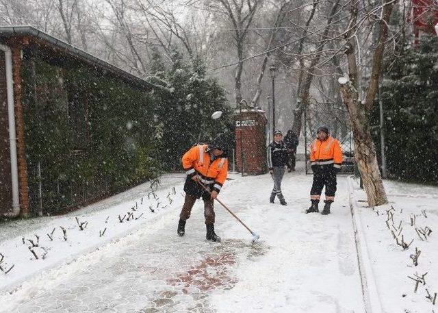 Büyükşehir’den Kara Anında Müdahale