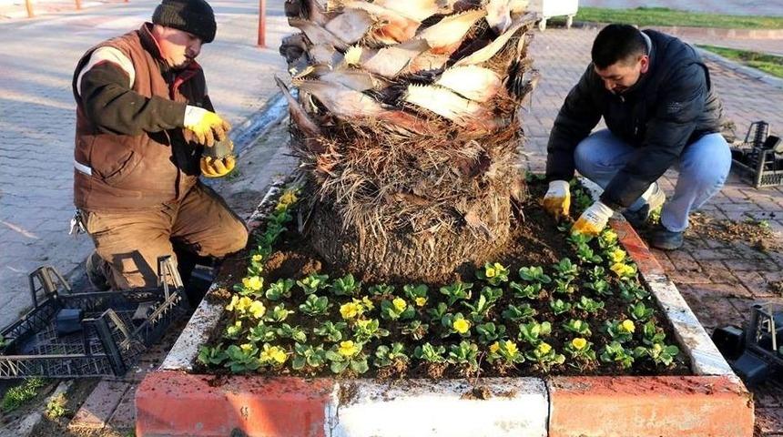 Marmaraereğlisi Caddelerinde &Ccedil;i&ccedil;ek A&ccedil;acak