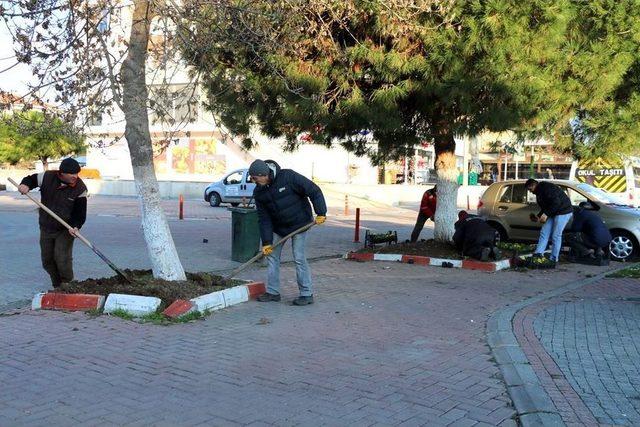 Marmaraereğlisi Caddelerinde Çiçek Açacak