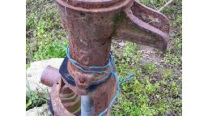 Kuruyan Tulumba &Ccedil;i&ccedil;ek A&ccedil;tı