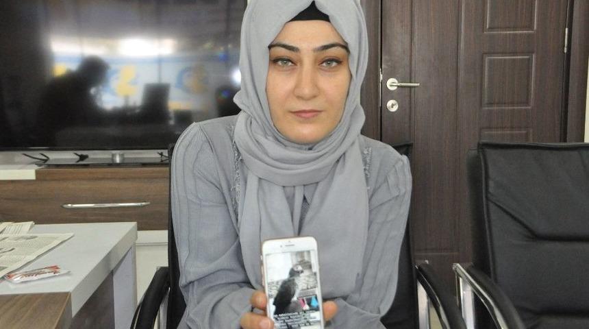 Kayıp ’paşa’yı Bulanlar Ödüllendirilecek