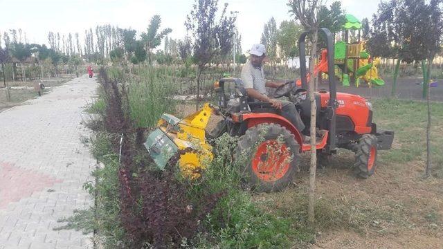 Sungurlu’da Park Ve Bahçeler Bayrama Hazırlanıyor