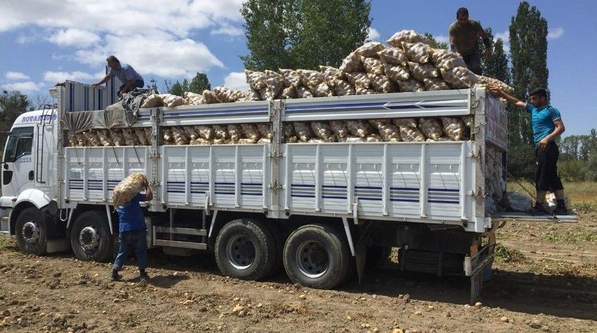 Yozgat&rsquo;ta Patates Ve Soğan Hasadı Devam Ediyor