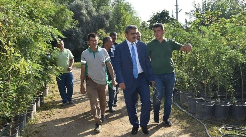 Sabah Mesaisi Fidanlıkta Başladı