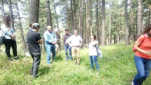 Kars’ın “biyolojik Çeşitlilik Envanter Ve İzleme Projesi