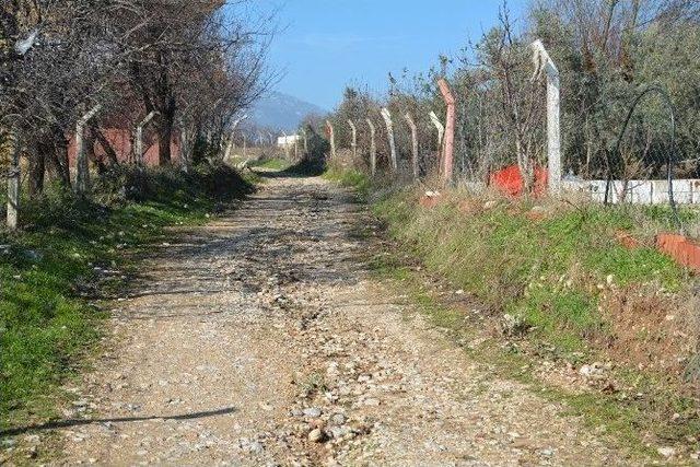 Sosyal Medya Üzerinden Yazdı, Yola Kavuştu