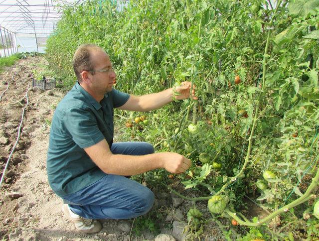 Doğal sebze meyve yemek için köyüne yerleşti, şimdi üretimini yapıyor