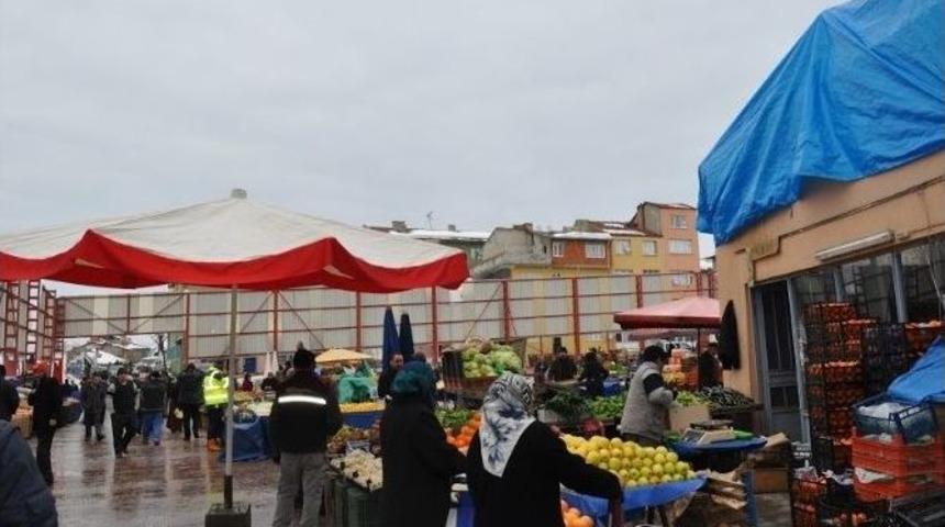 S&ouml;ğ&uuml;t Yaralarını Sarmaya Başladı