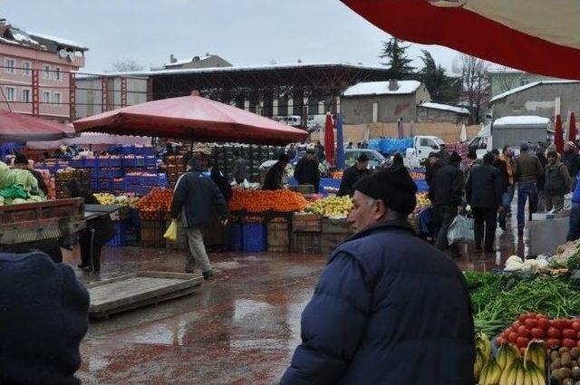 Söğüt Yaralarını Sarmaya Başladı