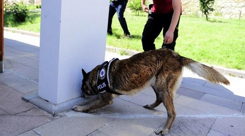 Uşak&rsquo;ta Narkotik Detekt&ouml;r K&ouml;pekler Uyuşturucuya G&ouml;z A&ccedil;tırmıyor