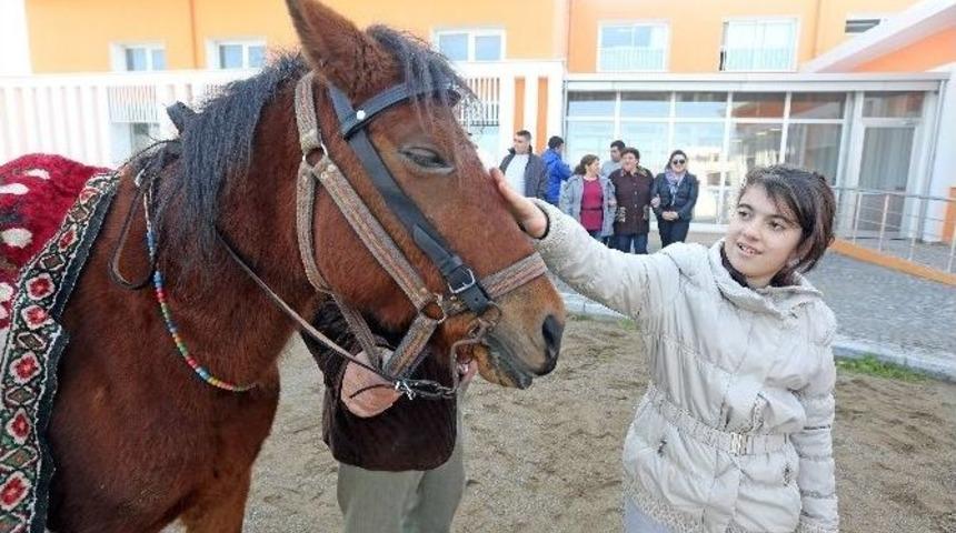 Otizmli &Ouml;ğrencilere Atlı Terapi