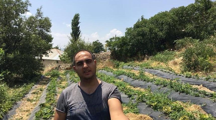 Genç Çiftçi Tut İlçesinde Doğal Çilek Yetiştirmeye Başladı