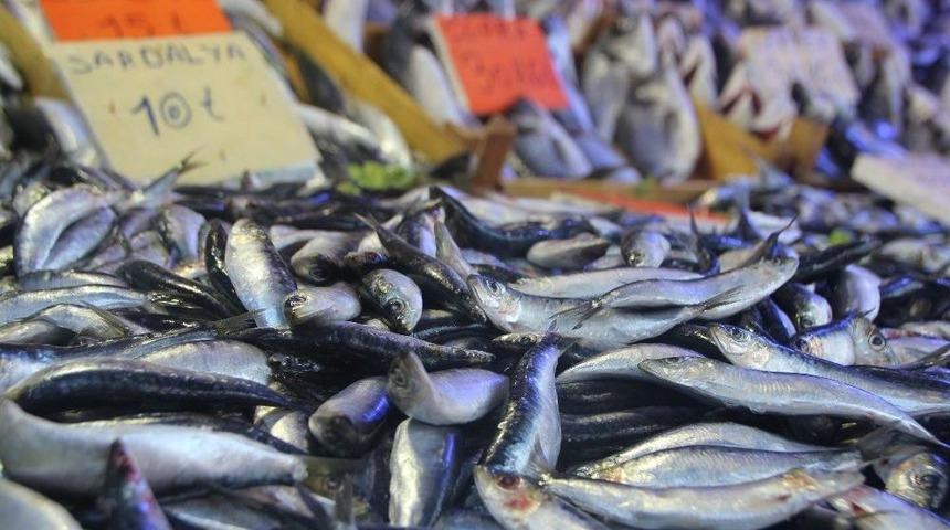 Bilecik&rsquo;te Hamsinin Fiyatı El Yakarken, Kilosu 15 Tl&rsquo;den Satılıyor