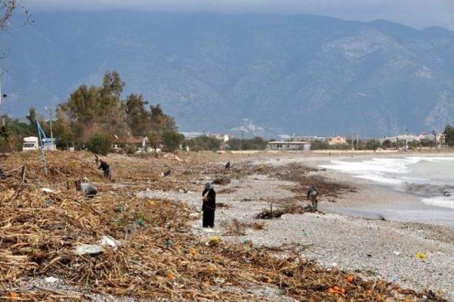 Taşdibi Sahili Çöp Yığınıyla Doldu