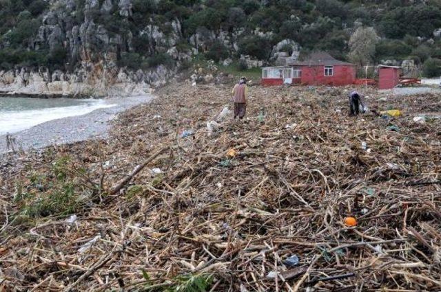 Taşdibi Sahili Çöp Yığınıyla Doldu