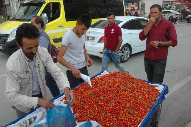 Kalp Ve Damar Dostu Alıç Tezgahlarda