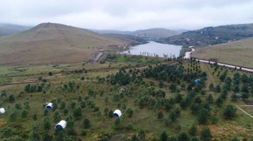 1500 Rakımlı Yaylaya Arap Turist Akını