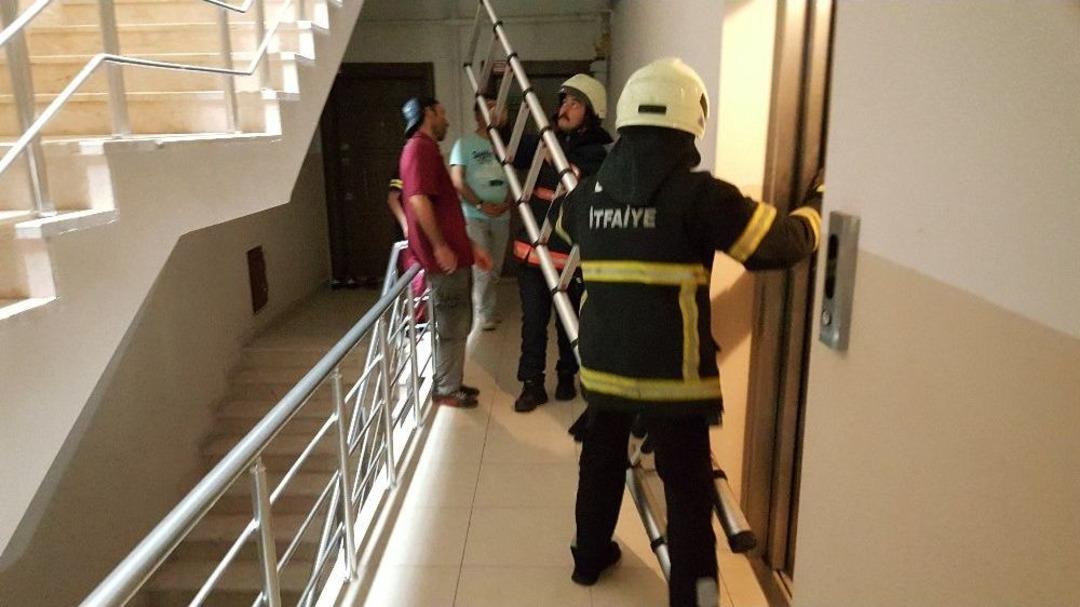 Asans&ouml;r Boşluğuna D&uuml;şen Kediyi İtfaiye Kurtardı