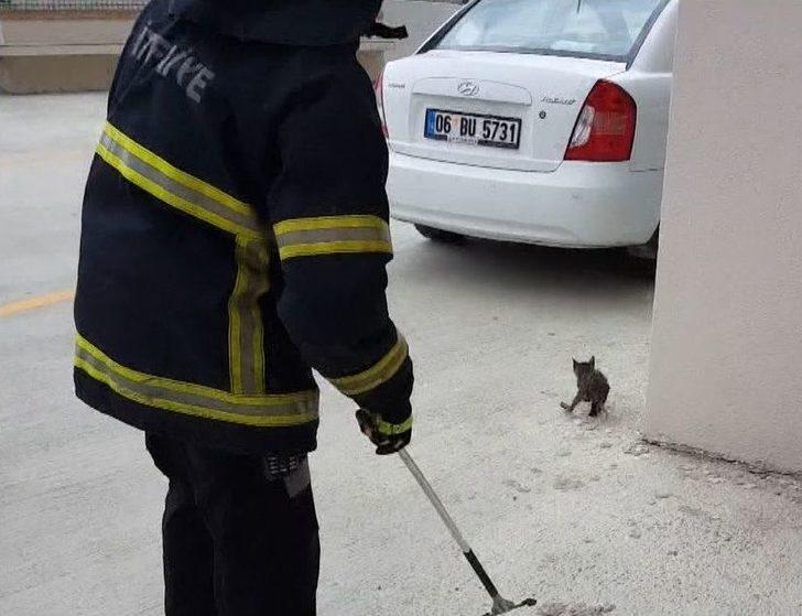 Asansör Boşluğuna Düşen Kediyi İtfaiye Kurtardı G4