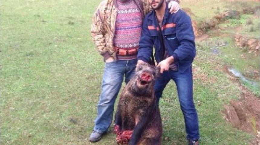 İki g&uuml;nde 15 yaban domuzu avladılar