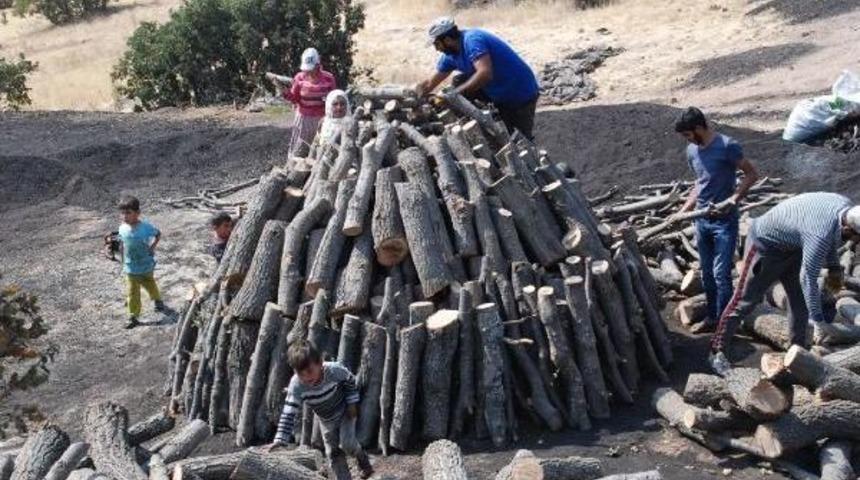 Mangal Kömürü Işçilerinin Ekmek Mücadelesi