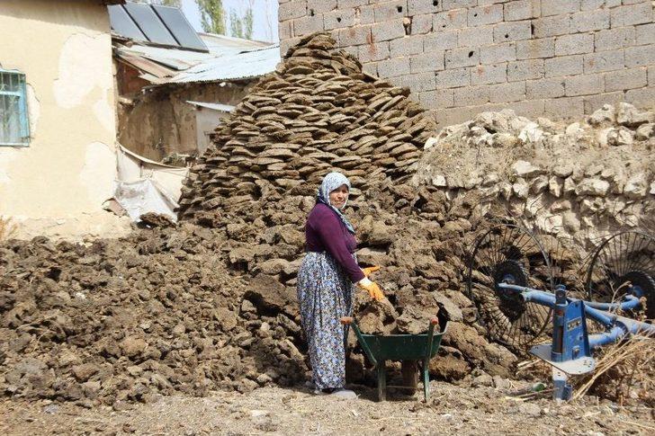 Sivas’ta Kışlık Tezek Hazırlıkları Başladı G1
