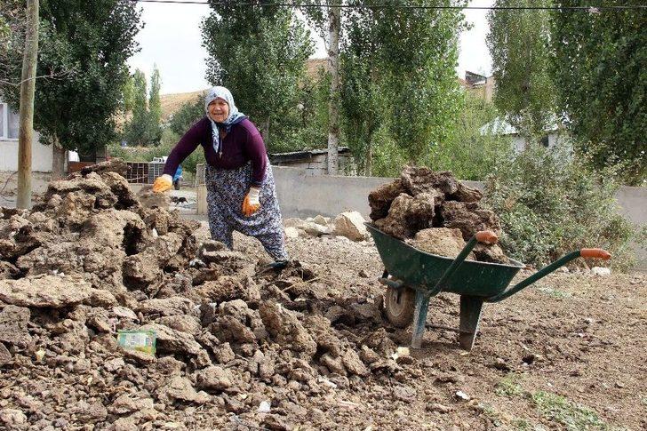 Sivas’ta Kışlık Tezek Hazırlıkları Başladı G5