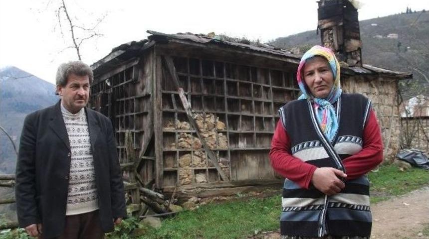 Derme &Ccedil;atma Evde Hayat M&uuml;cadelesi