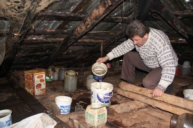 Derme &Ccedil;atma Evde Hayat M&uuml;cadelesi 1