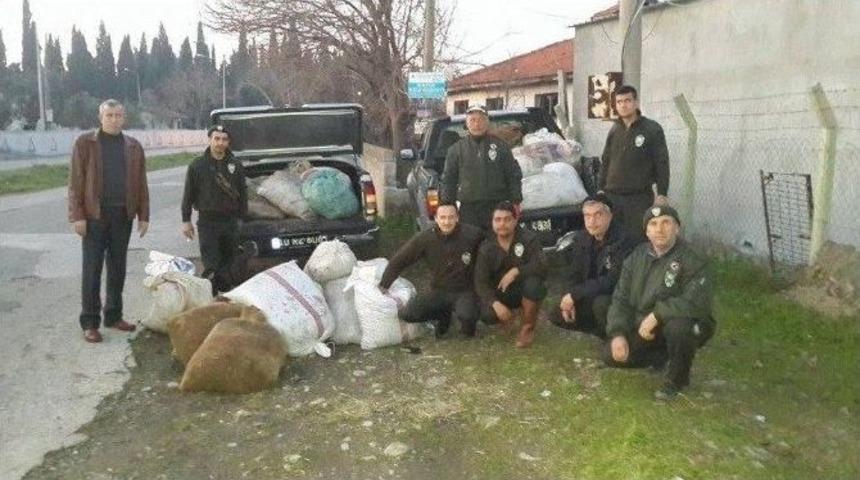 Kır Bek&ccedil;ileri Bir Ton &Ccedil;alıntı Zeytin Ele Ge&ccedil;irdi