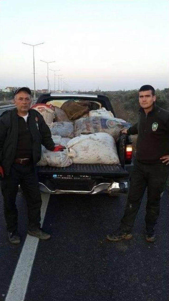 Kır Bekçileri Bir Ton Çalıntı Zeytin Ele Geçirdi