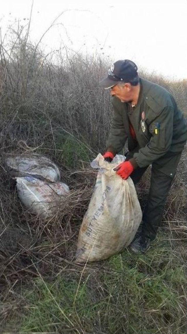 Kır Bekçileri Bir Ton Çalıntı Zeytin Ele Geçirdi