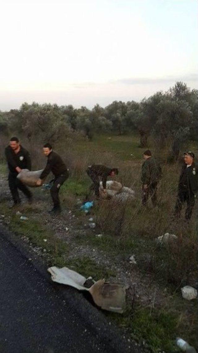 Kır Bekçileri Bir Ton Çalıntı Zeytin Ele Geçirdi