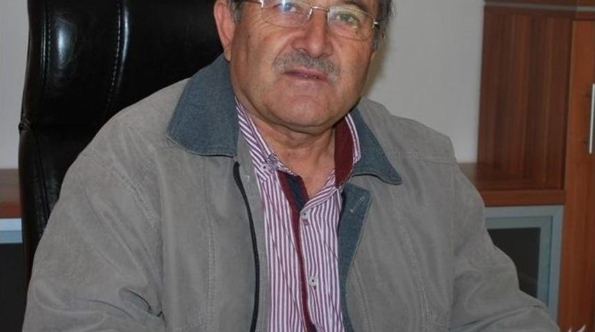 Pazarlar&rsquo;ın Yıllık Vişne &Uuml;retimi 5 Bin 500 Ton