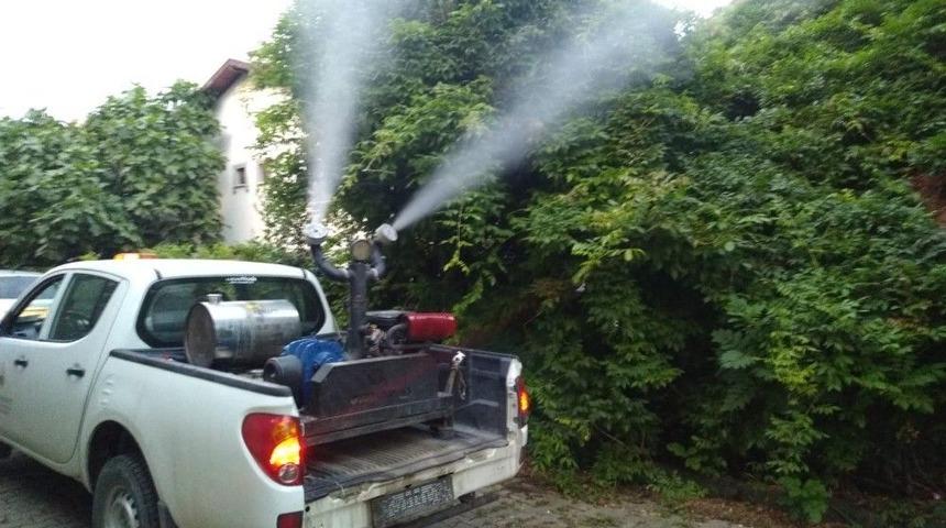 Sapanca Belediyesi İla&ccedil;lamaları Aksatmıyor