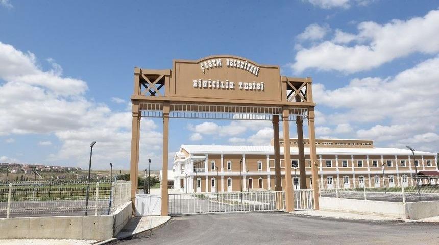 &Ccedil;orum&rsquo;da Binicilik Tesisi Hizmete Giriyor