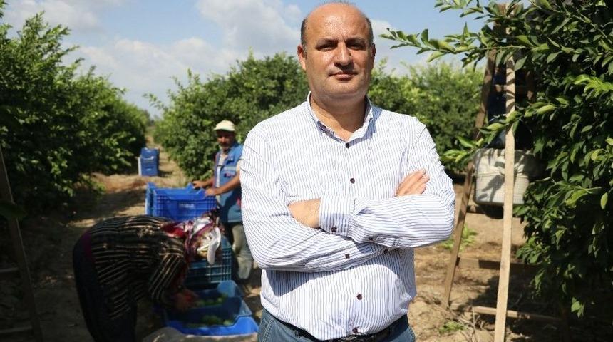 Kuzey Irak Krizi İç Piyasada Meyve Ve Sebzeyi Ucuzlatabilir