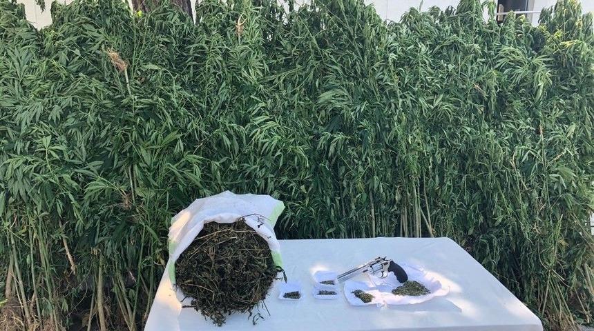 Sakarya&rsquo;da Uyuşturucu Operasyonu: 1 Tutuklama