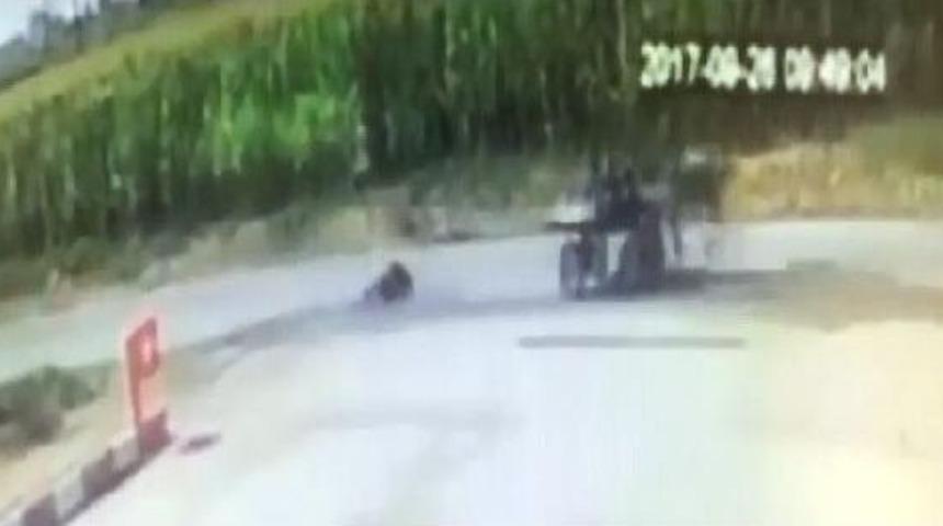 Suru&ccedil;'ta At Arabasından D&uuml;şen Kadın Yaralandı