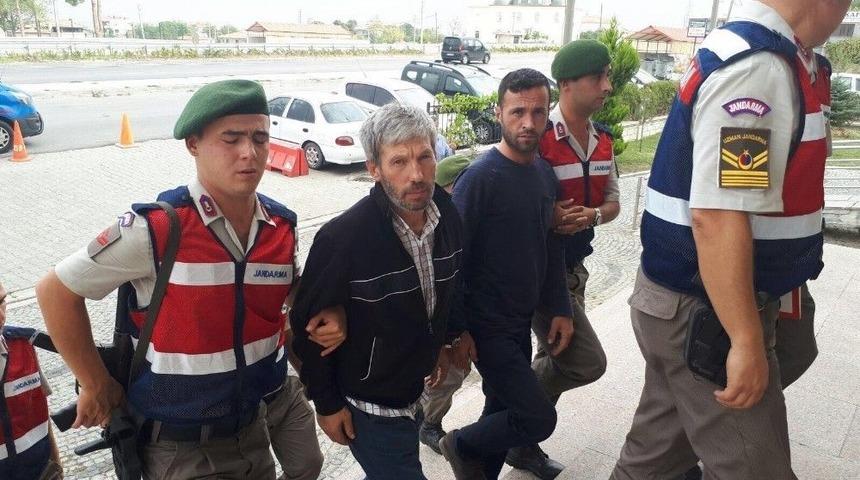 &Ccedil;anakkale&rsquo;de Hayvan Hırsızlığı