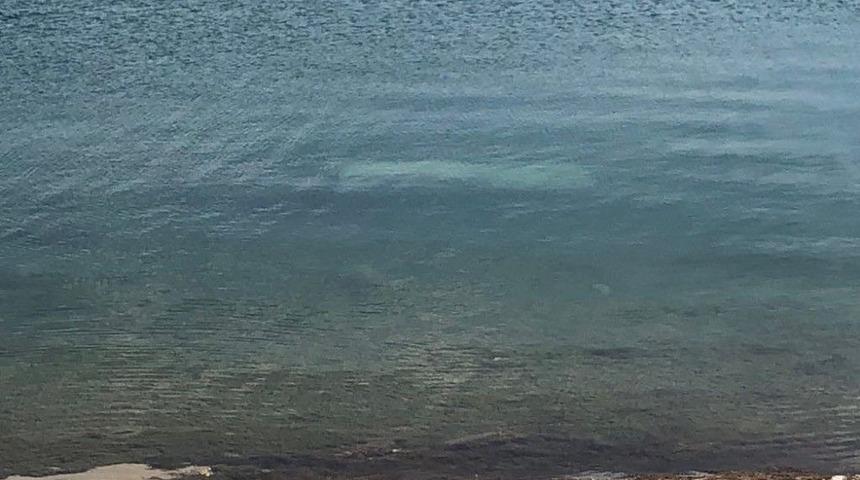 Barajdan &Ccedil;alıntı Kamyonet &Ccedil;ıktı