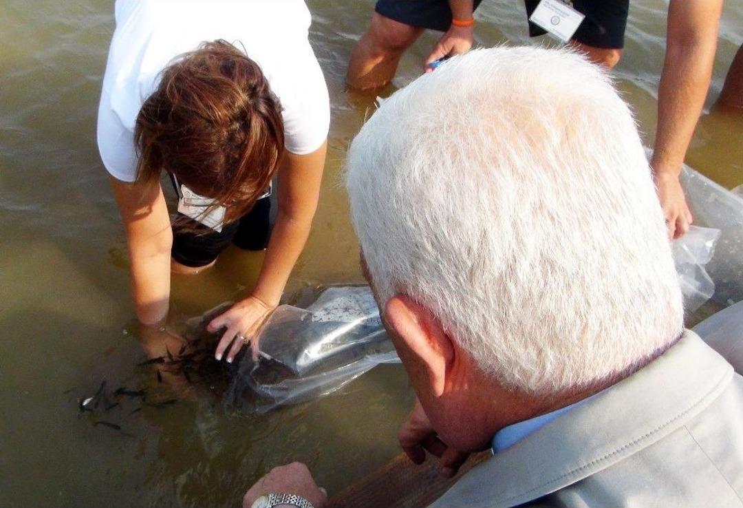 Ula G&ouml;leti&rsquo;ne 30 Bin Yavru Sazan Bırakıldı