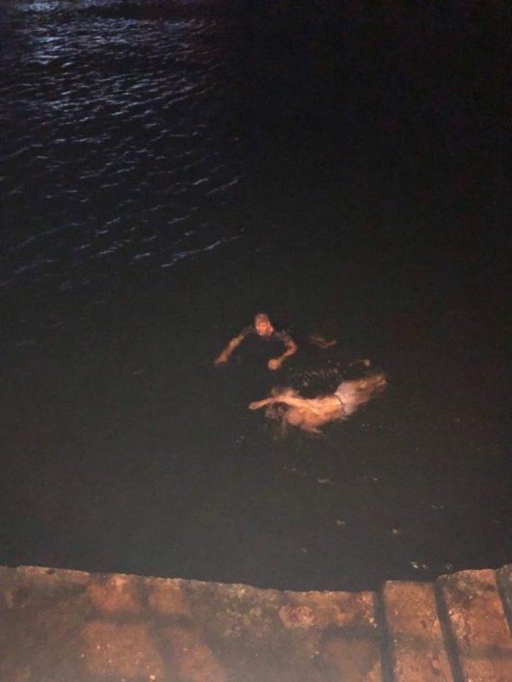 Denizde 7 Saat Yüzünce Akrabaları Korku Dolu Anlar Yaşadı G2