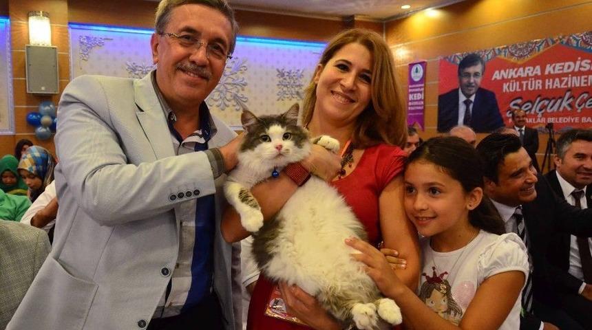 2. Uluslararası Pursaklar Kedi G&uuml;zellik Festivali Başlıyor