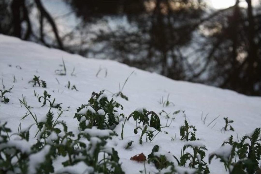 Gaziantepliler Kar Yağışından Memnun