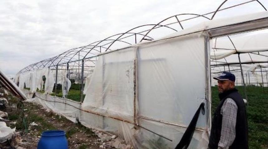 Sebzeye Don Ve Sel Zammı (2)