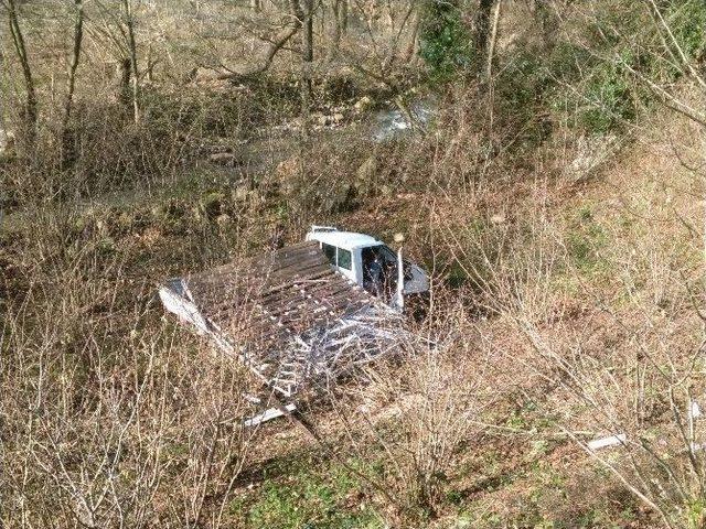 Cide’de Trafik Kazası: 1 Yaralı