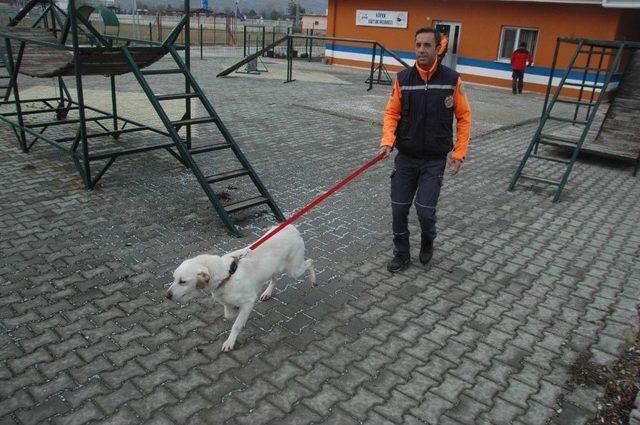 Gazeteci Adayı Öğrencilerden Afad’a Ziyaret